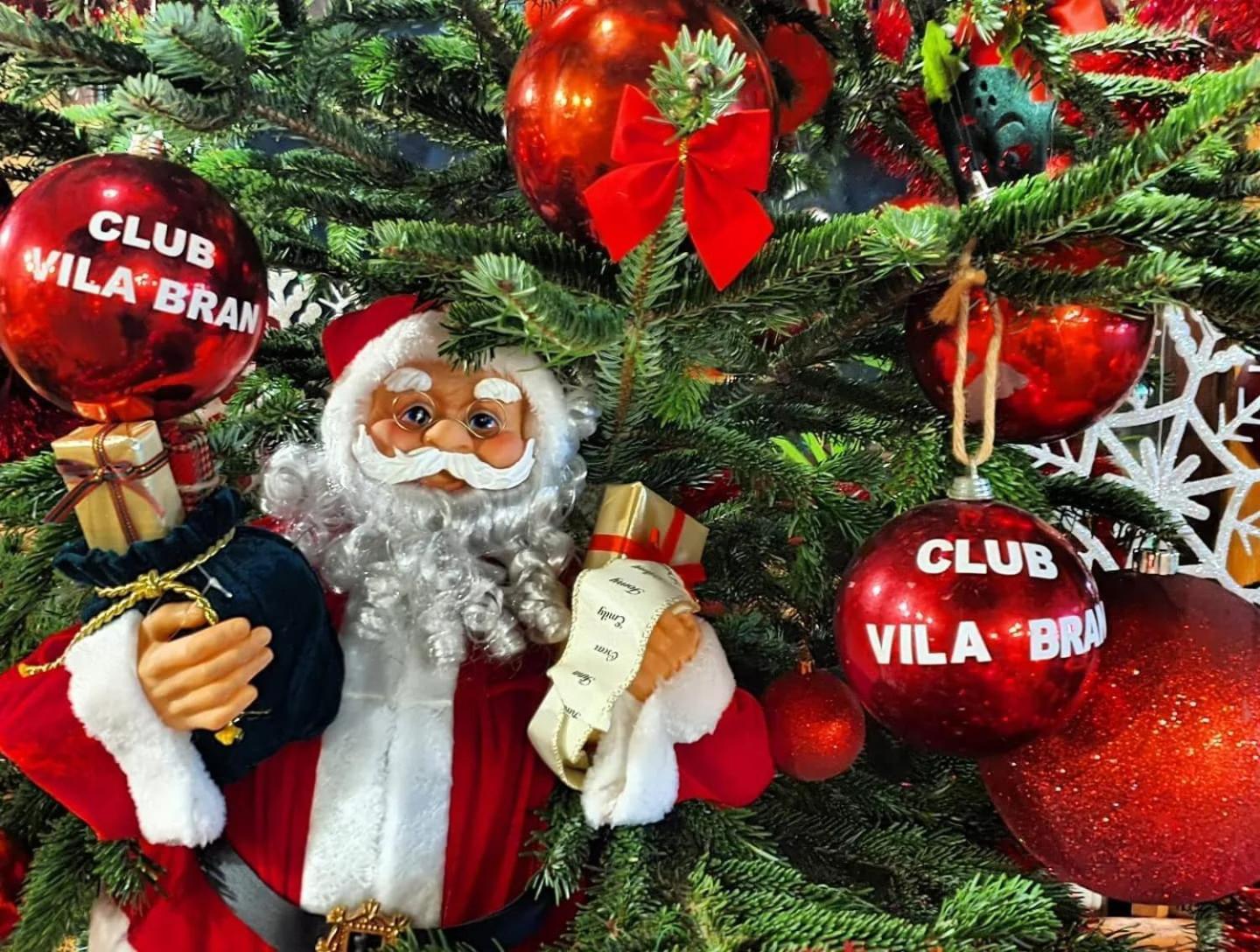 Club Vila Bran Bran  Eksteriør bilde